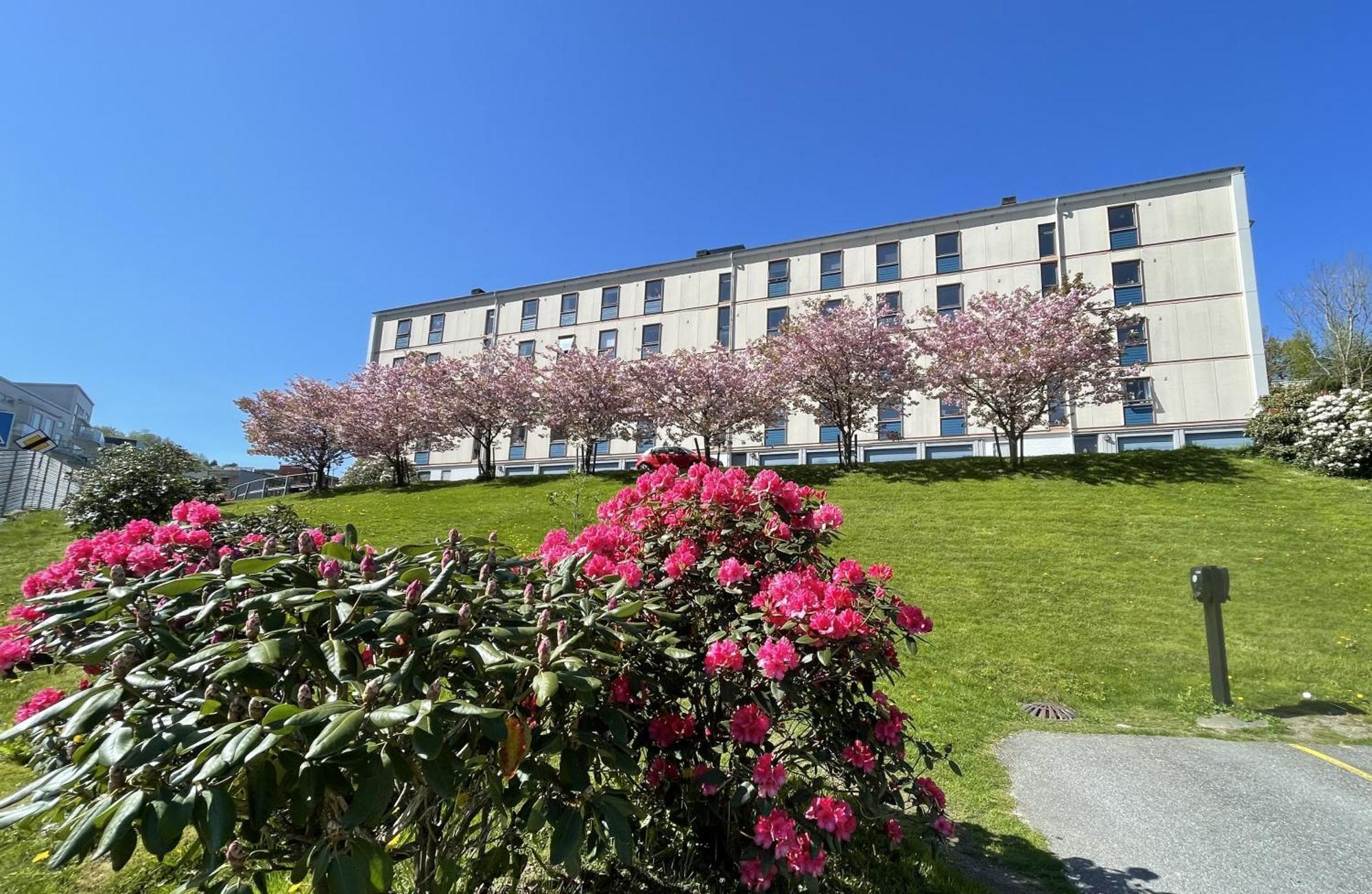 3 Sleeping Rooms For 82M2 Which Direct Traffic To Airport And City Center ベルゲン エクステリア 写真
